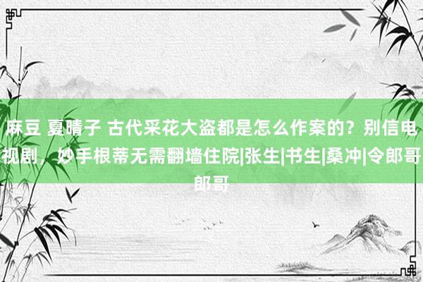 麻豆 夏晴子 古代采花大盗都是怎么作案的？别信电视剧，妙手根蒂无需翻墙住院|张生|书生|桑冲|令郎哥