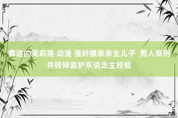 葬送的芙莉莲 动漫 强奸猥亵亲生儿子 男人获刑并毁掉监护东说念主经验