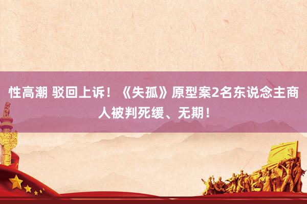 性高潮 驳回上诉！《失孤》原型案2名东说念主商人被判死缓、无期！