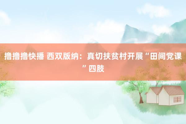 撸撸撸快播 西双版纳：真切扶贫村开展“田间党课”四肢