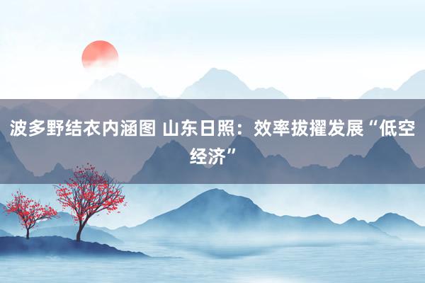 波多野结衣内涵图 山东日照：效率拔擢发展“低空经济”