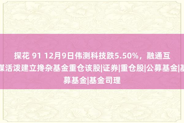 探花 91 12月9日伟测科技跌5.50%，融通互联网传媒活泼建立搀杂基金重仓该股|证券|重仓股|公募基金|基金司理
