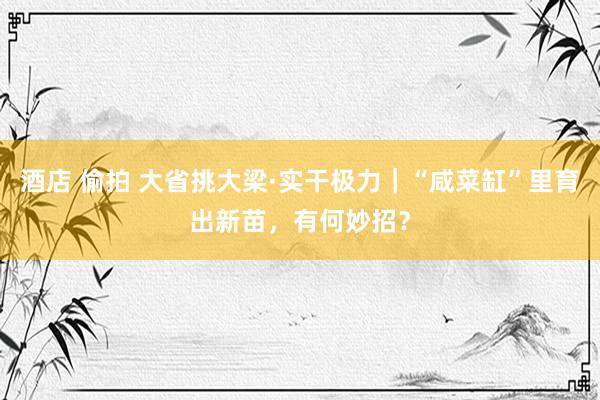 酒店 偷拍 大省挑大梁·实干极力｜“咸菜缸”里育出新苗，有何妙招？