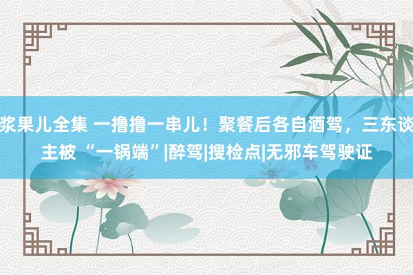 浆果儿全集 一撸撸一串儿！聚餐后各自酒驾，三东谈主被 “一锅端”|醉驾|搜检点|无邪车驾驶证