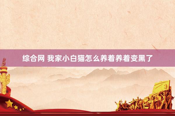 综合网 我家小白猫怎么养着养着变黑了