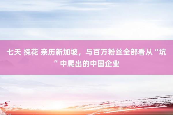 七天 探花 亲历新加坡，与百万粉丝全部看从“坑”中爬出的中国企业