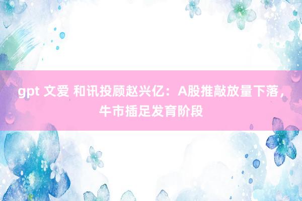 gpt 文爱 和讯投顾赵兴亿：A股推敲放量下落，牛市插足发育阶段