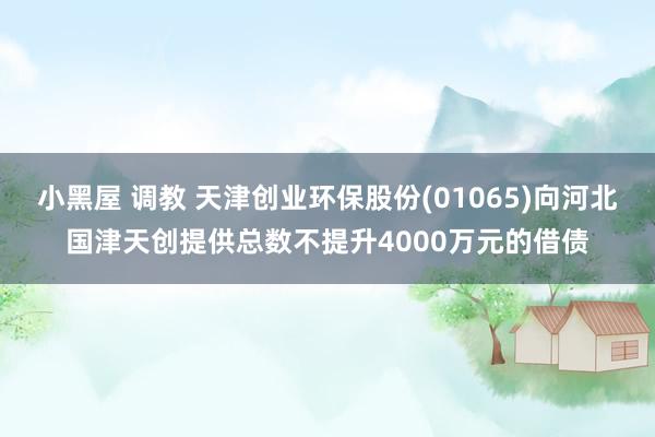 小黑屋 调教 天津创业环保股份(01065)向河北国津天创提供总数不提升4000万元的借债