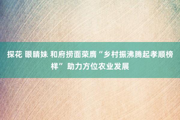 探花 眼睛妹 和府捞面荣膺“乡村振沸腾起孝顺榜样” 助力方位农业发展