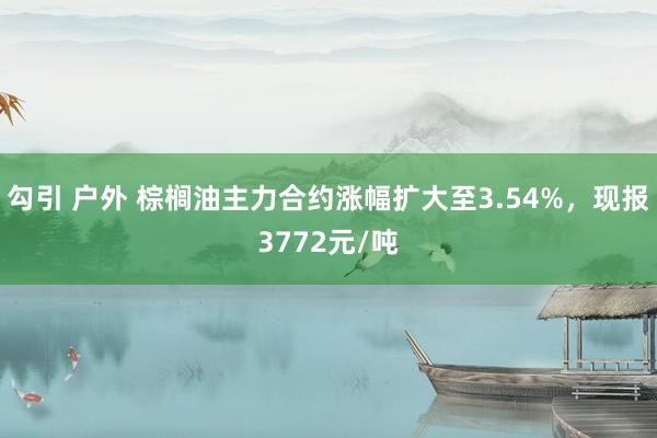 勾引 户外 棕榈油主力合约涨幅扩大至3.54%，现报3772元/吨